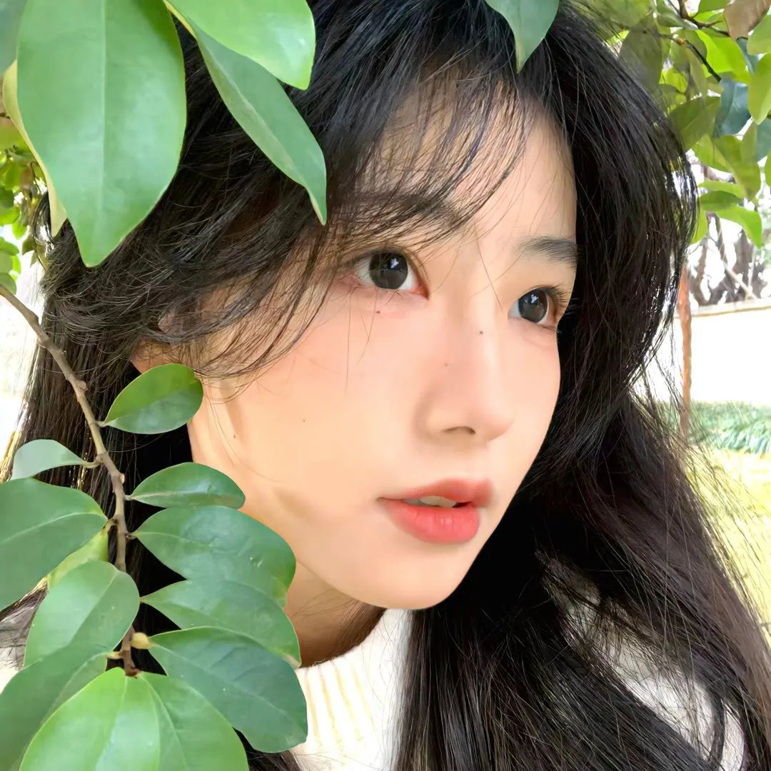 在里乔的阳光下